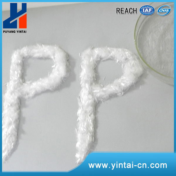 PP Fiber